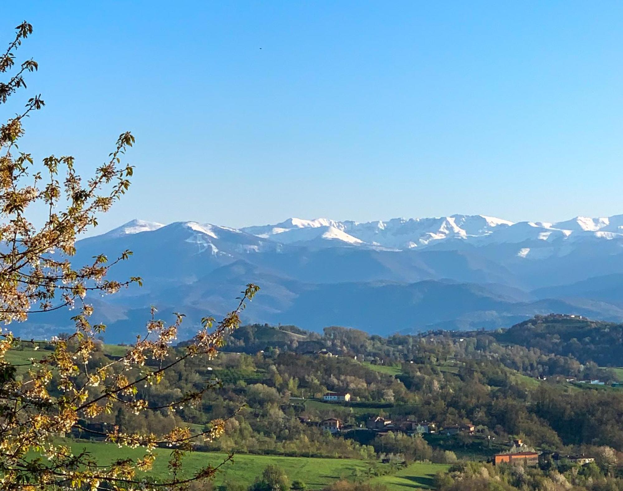 Just Langhe Casa Barolo Villa Novello Bagian luar foto