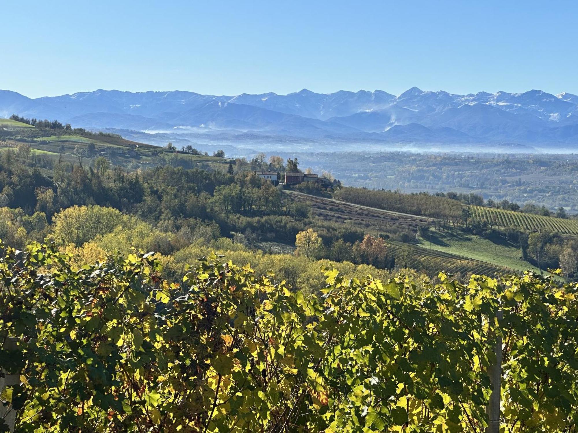 Just Langhe Casa Barolo Villa Novello Bagian luar foto