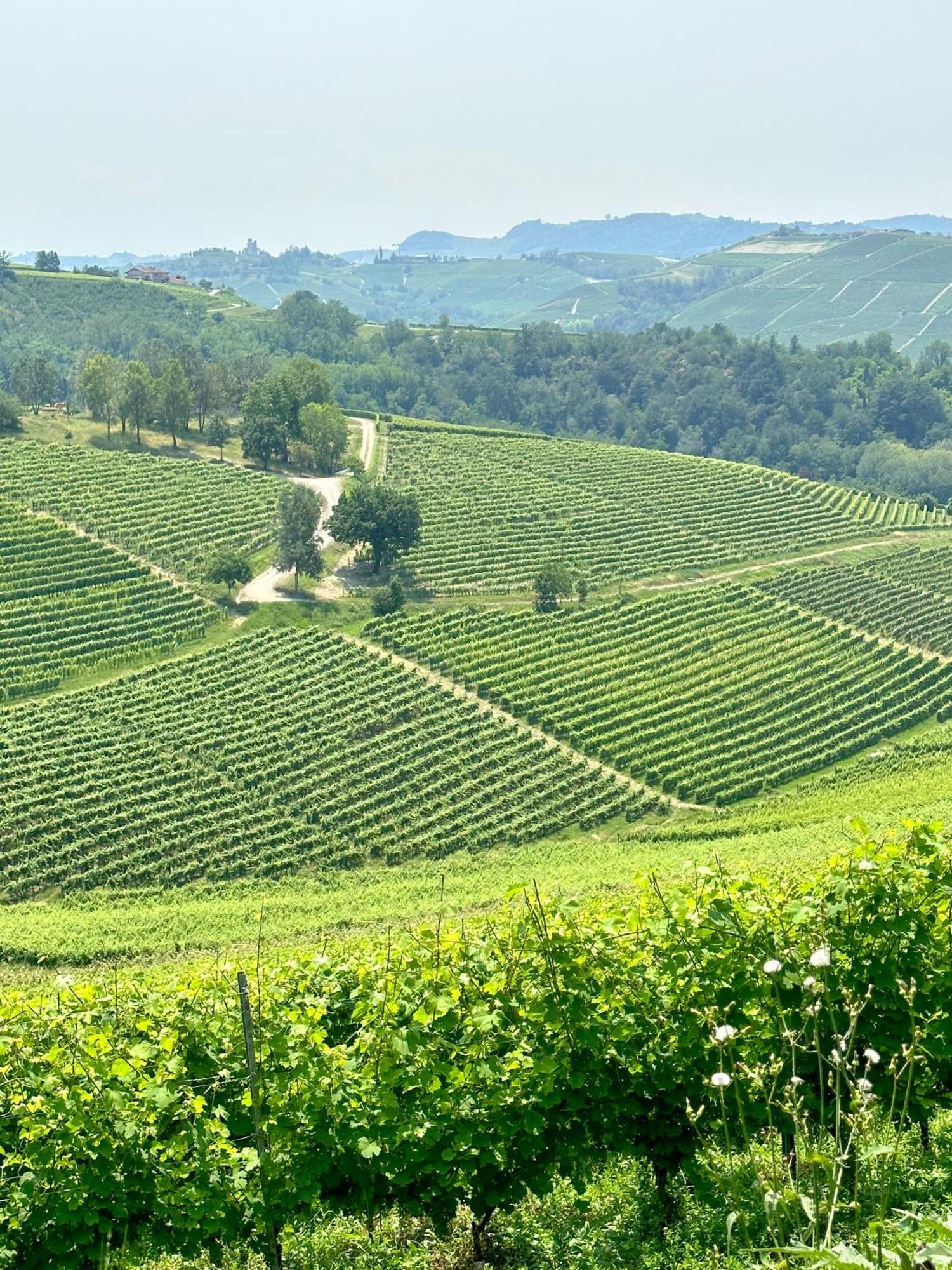 Just Langhe Casa Barolo Villa Novello Bagian luar foto