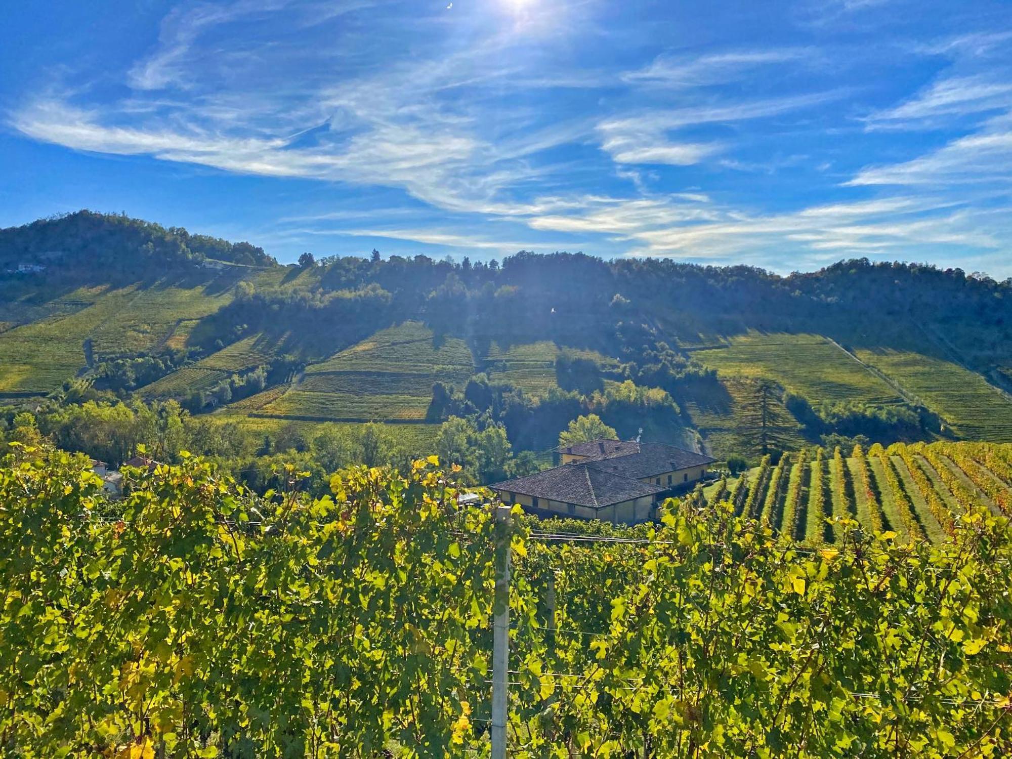 Just Langhe Casa Barolo Villa Novello Bagian luar foto